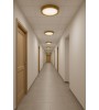18 Watt Gold Kasa Sıva Üstü Yuvarlak LED Panel Spot