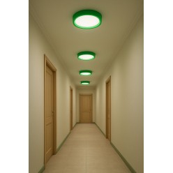 18 Watt Yeşil Kasa Sıva Üstü Yuvarlak LED Panel Spot